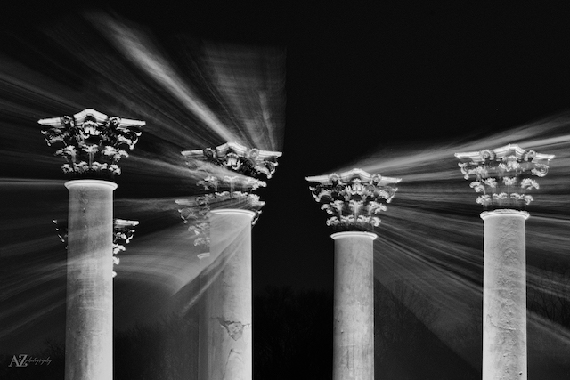 Beth_Haubach_Capitol_Columns