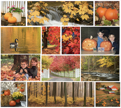 Marie_Joabar_Collage_Fall_400