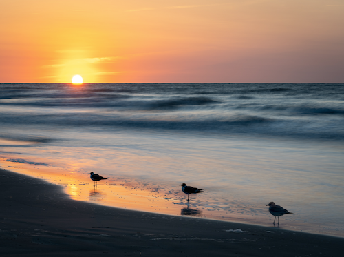 M.Joabar_Waves__
