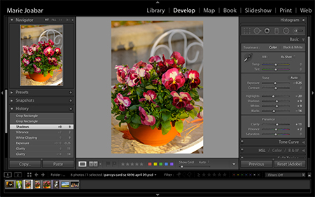 LR_Dev_450