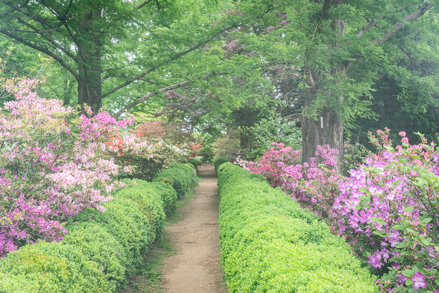 M.Joabar_Arboretum-3837_