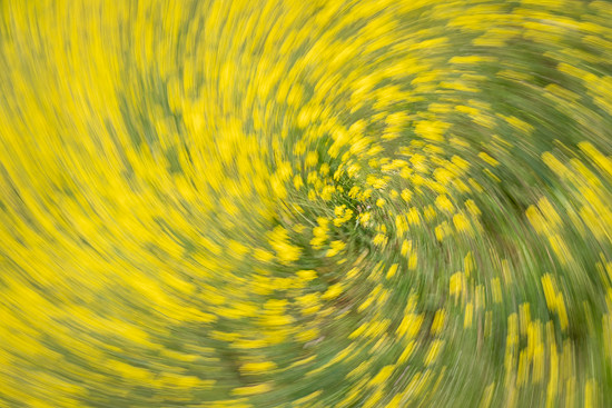 M.Joabar_Yellow_swirl_1-20_f22_iso_400-5668_