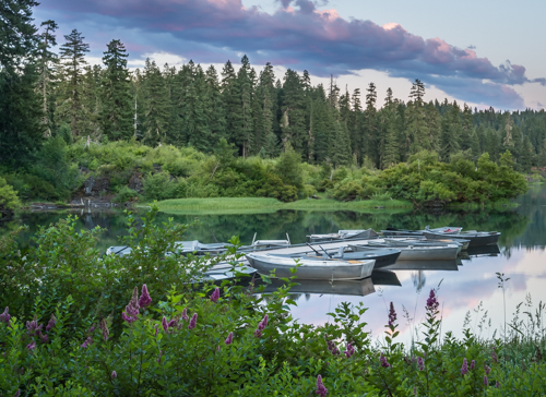 Marie_Joabar_-_landscape_Clear_Lake-