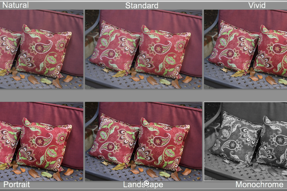 Picture_style_example