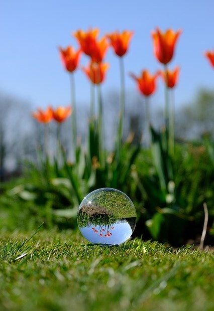 crystal-ball-4142363_640