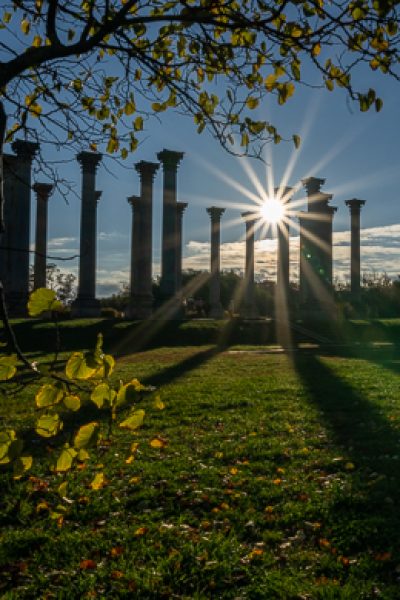 M.Joabar_columns-9310_ M.Joabar_columns-9310_